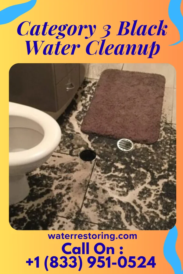 Category 3 Black Water Cleanup in Meadowbrook, CA