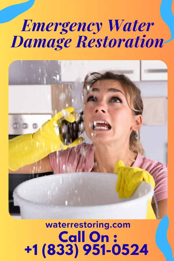 Emergency Water Damage Restoration in Meadowbrook, CA